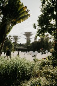 Botanic Gardens.jpg
