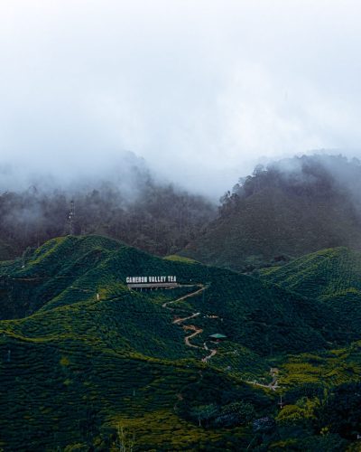 Cameron Highlands-1.jpg