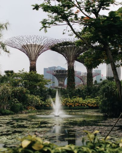 Gardens by the Bay.jpg