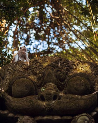 Ubud-1.jpg