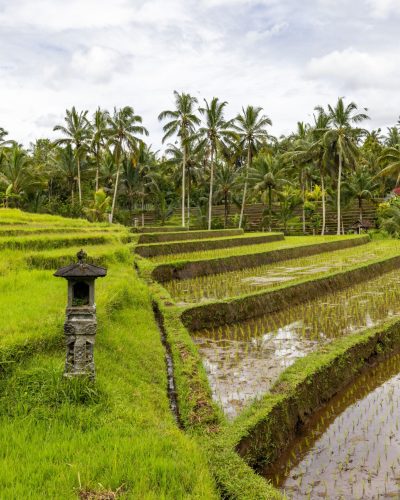 Ubud.jpg